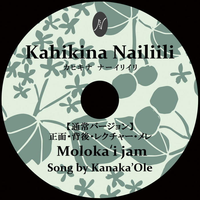 【在庫限りで販売終了】 レクチャー付WSDVD 曲: Molokai jam