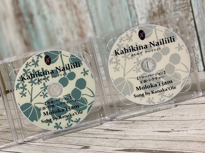 【在庫限りで販売終了】　　　　レクチャー付WSDVD　　　　　曲： Molokai jam