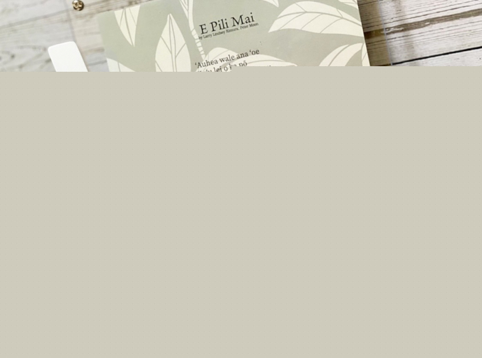 【在庫限りで販売終了】 Premium Hula DVD DVD曲:E Pili Mai